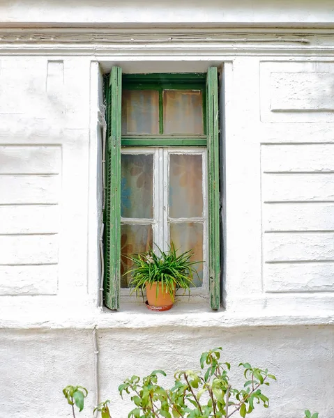 Old House Green Frame Window Flowerpot Athens Greece — Stock Photo, Image