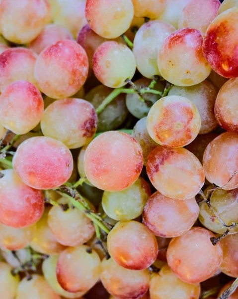 Uva Rosata Biologica Vista Dall Alto Sfondo Naturale — Foto Stock