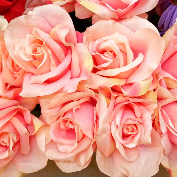 Laranja Rosa Falso Rosas Close Fundo Colorido — Fotografia de Stock