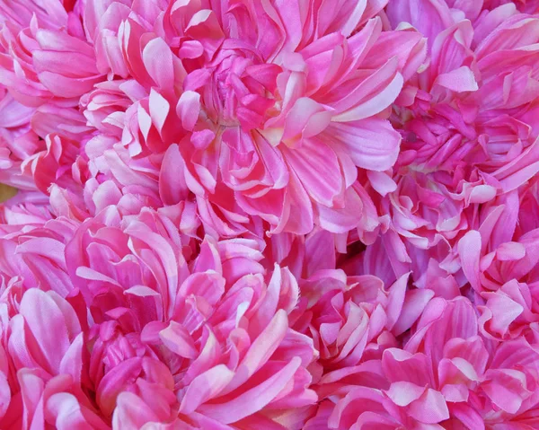 Ζωντανή Βιολετί Ροζ Ψεύτικα Λουλούδια Φόντο — Φωτογραφία Αρχείου