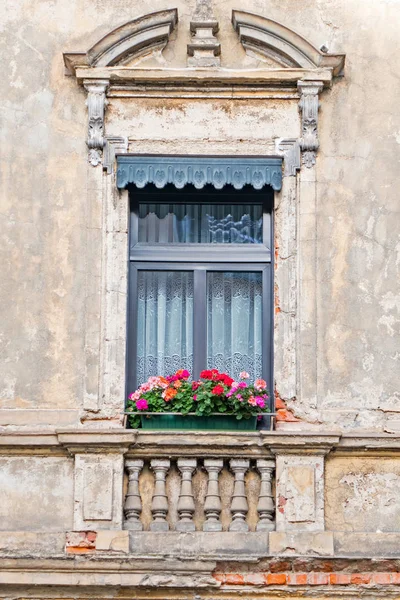 Weathered Beautiful House Window Geranium Flowers — стоковое фото