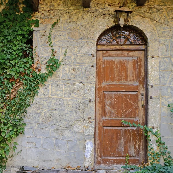 Taş Duvar Sarmaşık Yeşillik Üzerinde Vintage Kahverengi Kemerli Kapı — Stok fotoğraf