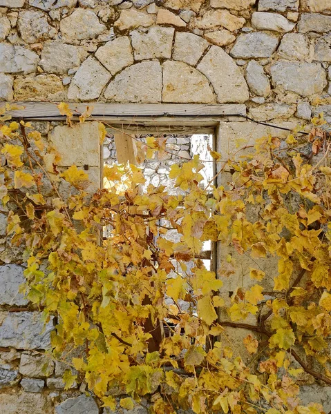 Opuszczony Budynek Otwarte Łukowe Okno Żółte Liście Kamiennym Ścianie — Zdjęcie stockowe