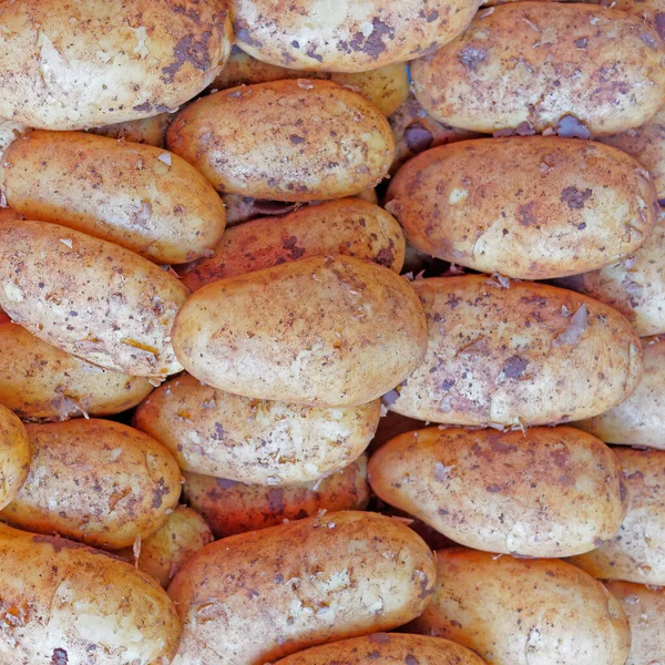 Patatas Crudas Cerca Vista Superior Fondo Alimentos Vegetarianos Orgánicos —  Fotos de Stock