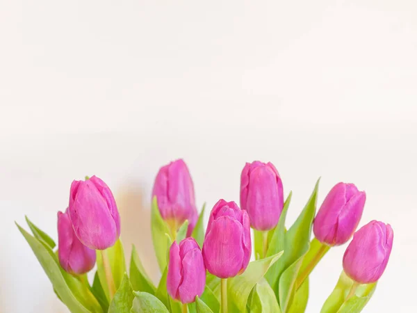 Violeta Colorido Tulipa Flores Buquê Fundo Branco Perto — Fotografia de Stock