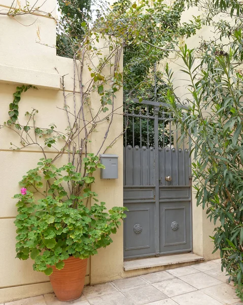 ヴィンテージハウス入口金属グレーのドアとフラワーポット — ストック写真