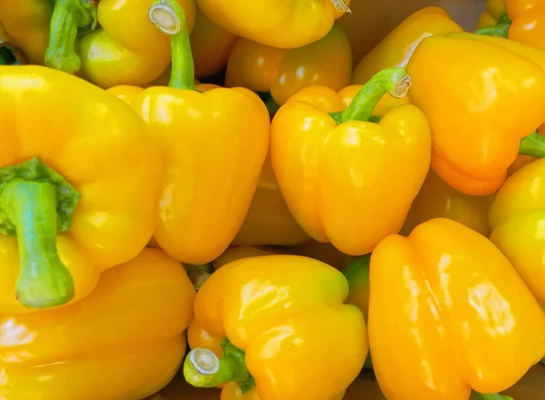 Yellow Bell Peppers Top View Close Natural Background — Stock Photo, Image