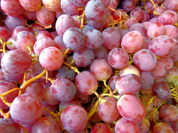 Bio Saftige Rote Trauben Von Oben Nahaufnahme Natürlicher Hintergrund — Stockfoto