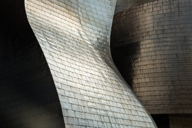 Detalle del Museo Guggenheim de bilbao