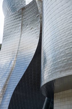 Detalle del Museo Guggenheim de bilbao