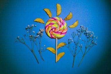 Dilimleri kurutulmuş ayva ve büyük parlak şeker, sarmal, formu, şeritli renk, tatlı lezzetli Aperatif, sevimli parlak kompozisyon izole mavi arka plan üzerinde girdap, düz fotoğraf, Eko gıda kavramı yatıyordu