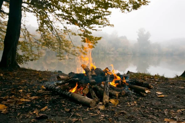 bonfire in forest on the bank of lake, cold autumn evening