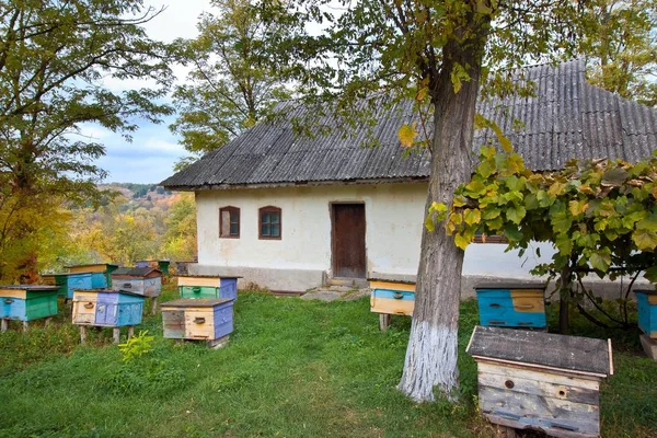 Piccolo Apiario Con Orticaria Colorata Cortile Della Vecchia Casa Campagna — Foto Stock