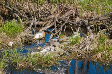 küçük bir nehir kıyı şeridinde şişe ve çanta kirliliği plastik çöp