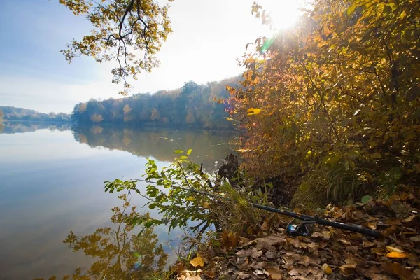 Sol Frío Mañana Octubre Lago Bosque Cielo Azul Claro Con — Foto de Stock