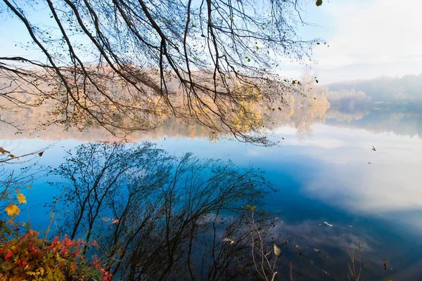 สาขาของต นเดนแขวนอย เหน อทะเลสาบป การสะท อนบนพ งของม สวยงามเช นฤด ใบไม — ภาพถ่ายสต็อก