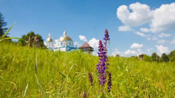 Busha Ukraine 2019 Belles Fleurs Bleu Profond Avec Ancienne Tour — Photo