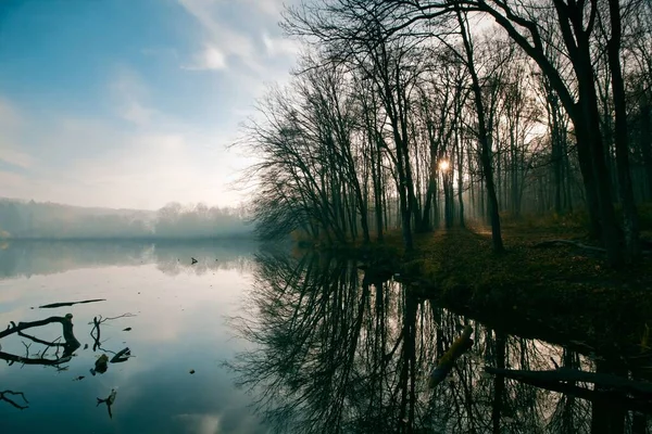 Заброшенное Озеро Позднем Осеннем Лесу Ранние Солнечные Лучи Светят Голыми — стоковое фото