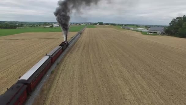 Steam Engine Train Puffing Countryside — Stock Video