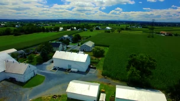 Aereo Drone Attraverso Campagna Amish — Video Stock