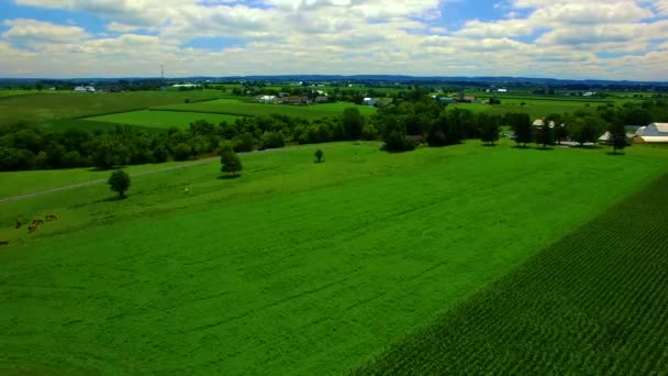 Drone Luchtfoto Door Amish Platteland — Stockvideo