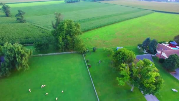 Amish Vidék Amish Lakások Mellett Drone — Stock videók