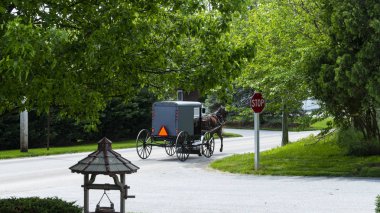 Amish Horse and Buggy going down the Road on a Sunny Day clipart