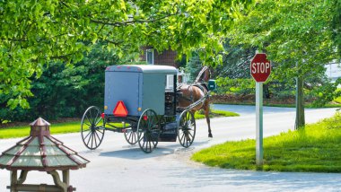 Amish at ve güneşli bir günde yola Buggy
