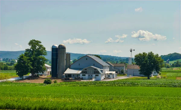 Amish Farm Paisagem Com Silos Dia Ensolarado Verão — Fotografia de Stock