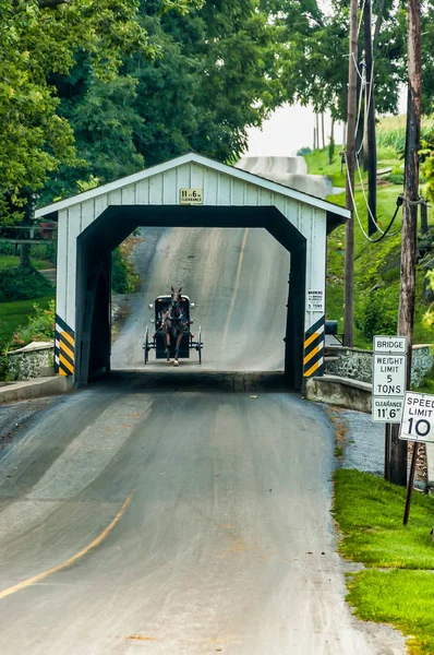 Amish içinden bir yaz gününde gidiş köprü Buggy kaplı