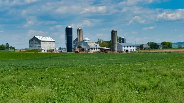 Paisaje Granja Amish Con Silos Soleado Día Verano — Foto de Stock