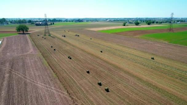 Amish Farm Worker Skörd Fälten Med Gammal Och Utrustning Som — Stockvideo