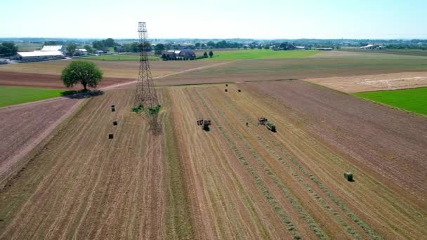 Amish Farm Worker Skörd Fälten Med Gammal Och Utrustning Som — Stockvideo