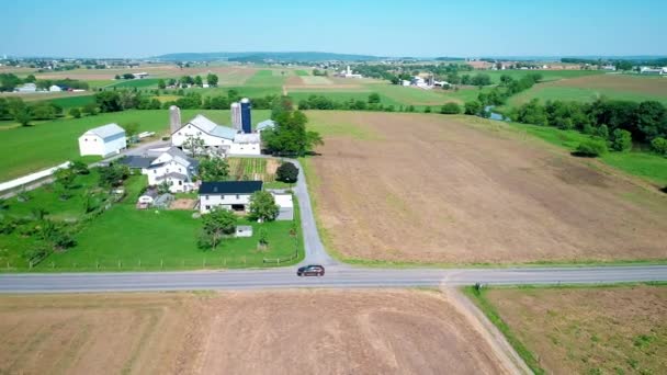 Amish Çiftlik Işçisi Hasat Alanlar Ile Eski Yeni Dron Tarafından — Stok video