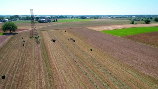 Amish Farm Worker Zbiorów Pól Starego Nowego Sprzętu Widziane Przez — Wideo stockowe