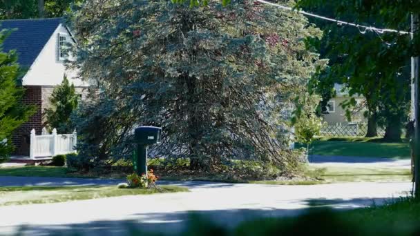 Amish Farm Worker Skörd Fälten Med Gammal Och Utrustning Som — Stockvideo