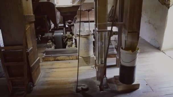 Amish Farm Worker Skörd Fälten Med Gammal Och Utrustning Som — Stockvideo