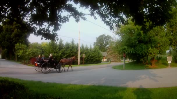 Amish Dopravní Typ Otevřené Rodinné Koně Buggy Kombi — Stock video