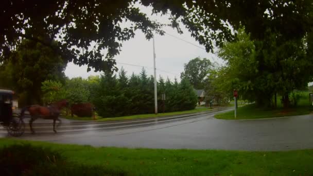 Tipo Transporte Amish Open Horse Buggy Chuva — Vídeo de Stock