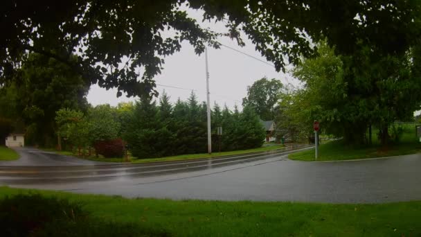 Amish Transportart Offenes Pferd Und Buggy Regen — Stockvideo