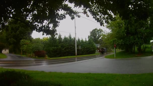 Amish Dopravní Typ Otevřené Koně Buggy Dešti — Stock video