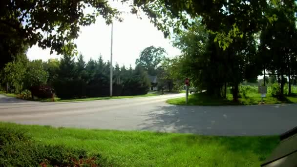 Amish Type Transport Cheval Ouvert Buggy Buggy — Video