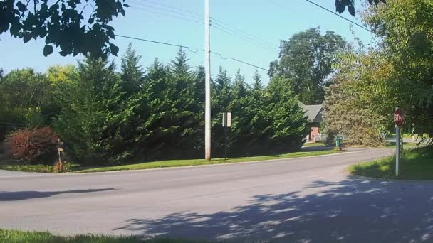 Amish Transportu Typu Konia Buggy Dodatkowego Pasażera — Wideo stockowe