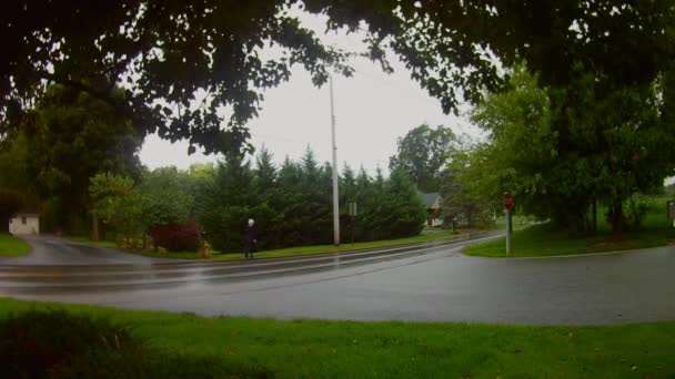 Amish Transport Type Amish Women Walking Rain — Video