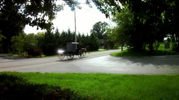 阿米什交通型马和敞篷车 — 图库视频影像