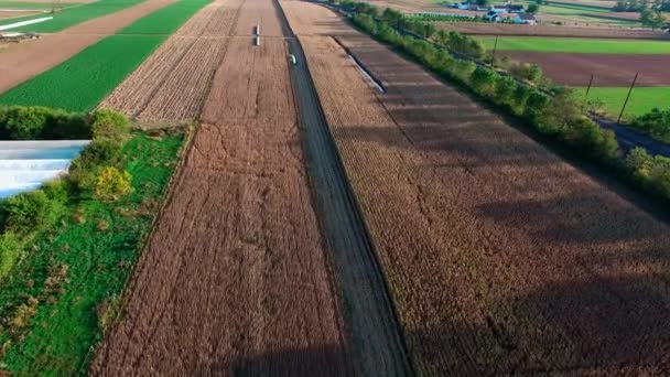 Amish Farmy Připraven Sklizeň Tam Pole Podzimní Den Jako Přečtené — Stock video