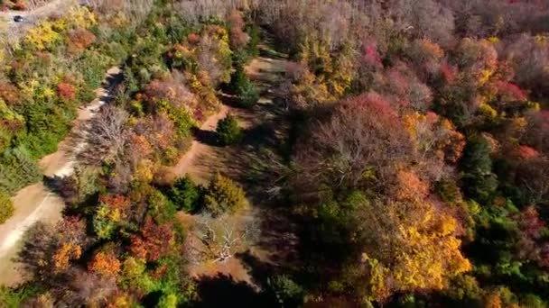 Herfst Long Island South Shore New York Een Zonnige Herfstdag — Stockvideo