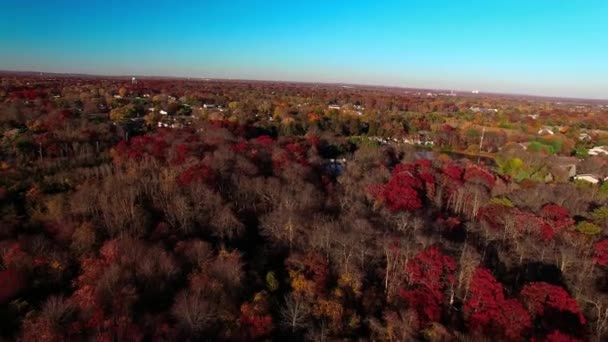 Podzim Long Islandu Jižní Pobřeží New York Slunečného Podzimního Dne — Stock video