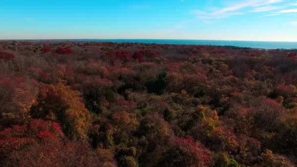 Outono Costa Sul Long Island Nova York Dia Queda Ensolarado — Vídeo de Stock