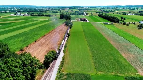 Vapor Trem Passando Por Amish Fazenda Terras Campo Dia Verão — Vídeo de Stock